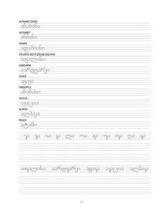 Georgian Calligraphy Workbook - image 5